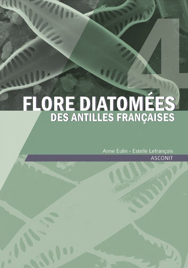 Flore diatomées des Antilles françaises - Volume 4